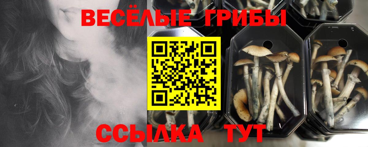 Псилоцибиновые грибы Psilocybine cubensis  Вход с VPN  Азов  Галлюциногенные грибы Psilocybine cubensis 