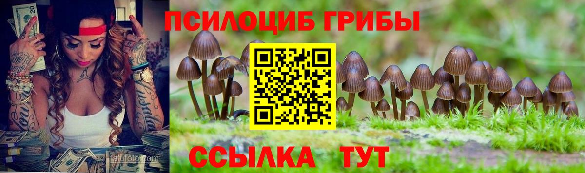Псилоцибиновые грибы Magic Shrooms Азов